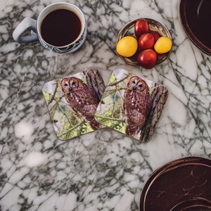 Captivating Woodland Tawny Owl Glossy Wooden Coaster Set