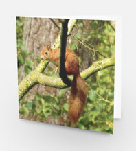 Load image into Gallery viewer, Delightful Red Squirrel Glossy Blank Greeting Card
