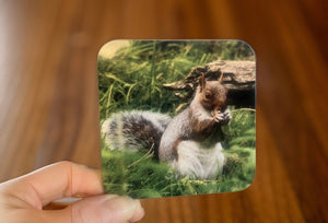 Grey Squirrel Glossy Single Coaster