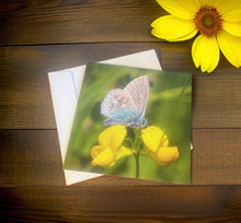 Load image into Gallery viewer, Common Blue Butterfly-Blank Cards Suitable for Any Occasion.
