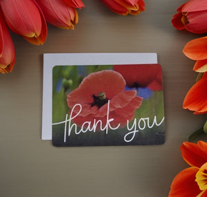 Striking Poppy Blank Thank you Notecards