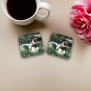 Cute Grey Squirrel Wooden Coaster Set