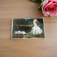 Load image into Gallery viewer, Heartwarming Swan Family Glossy Blank Greeting Card
