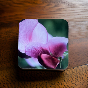 Sweet Pea Glossy Single Coaster