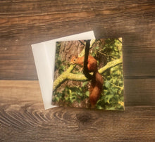 Load image into Gallery viewer, Delightful Red Squirrel Glossy Blank Greeting Card
