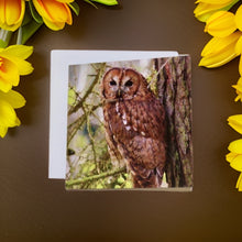 Load image into Gallery viewer, Tawny Owl Glossy Blank Greeting Cards
