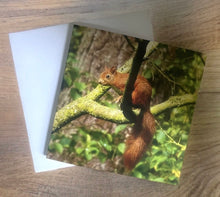 Load image into Gallery viewer, Delightful Red Squirrel Glossy Blank Greeting Card
