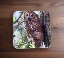 Load image into Gallery viewer, Tawny Owl Glossy Single Coaster
