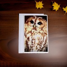 Load image into Gallery viewer, Captivating Woodland Tawny Owl Blank Greeting Card
