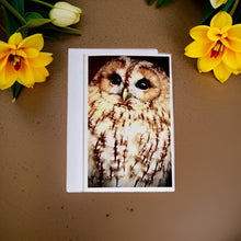 Load image into Gallery viewer, Captivating Woodland Tawny Owl Blank Greeting Card
