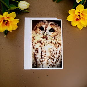 Captivating Woodland Tawny Owl Blank Greeting Card