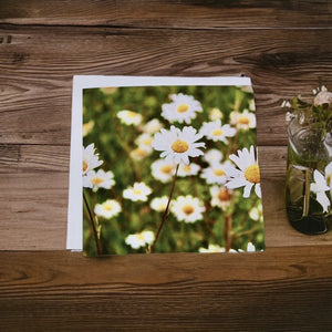 Delightful Daisy-themed Blank Card for Any Occasion