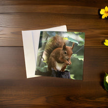 Load image into Gallery viewer, Adorable Red Squirrel Card for Any Occasion.
