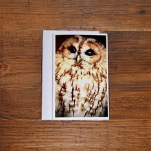 Load image into Gallery viewer, Captivating Woodland Tawny Owl Blank Greeting Card
