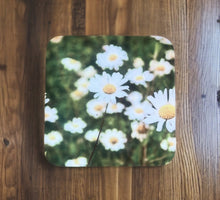 Load image into Gallery viewer, Oxeye Daisy Glossy Single Coaster
