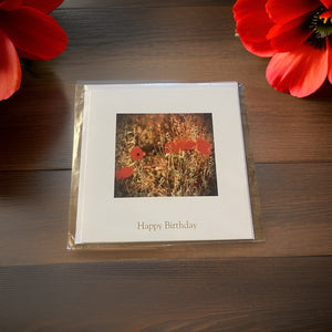 Striking Red Poppy Birthday Card