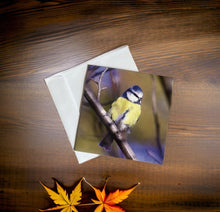 Load image into Gallery viewer, Chirpy Blue tit Blank any Occasion Greeting Card
