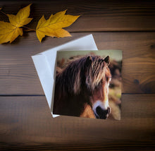 Load image into Gallery viewer, Charming Horse Greeting Card for Horse Lovers
