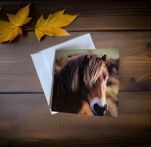 Charming Horse Greeting Card for Horse Lovers