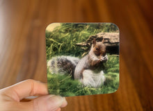 Load image into Gallery viewer, Grey Squirrel Glossy Single Coaster
