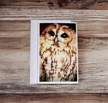 Load image into Gallery viewer, Captivating Woodland Tawny Owl Blank Greeting Card
