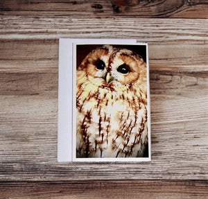 Captivating Woodland Tawny Owl Blank Greeting Card