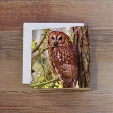 Load image into Gallery viewer, Tawny Owl Glossy Blank Greeting Cards
