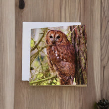 Load image into Gallery viewer, Tawny Owl Glossy Blank Greeting Cards
