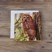 Load image into Gallery viewer, Tawny Owl Glossy Blank Greeting Cards
