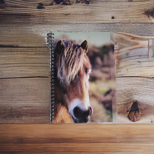 Horse Notebook Lined Glossy Photographed Wild Pony Notepad