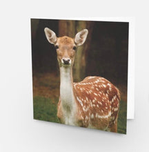 Load image into Gallery viewer, Majestic Fallow Deer Blank Greeting Cards for Any Occasions
