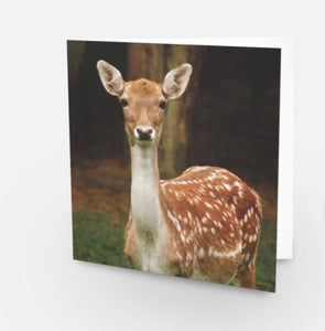 Majestic Fallow Deer Blank Greeting Cards for Any Occasions