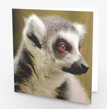 Load image into Gallery viewer, Playful Lemur Blank any Occasion Greeting Card
