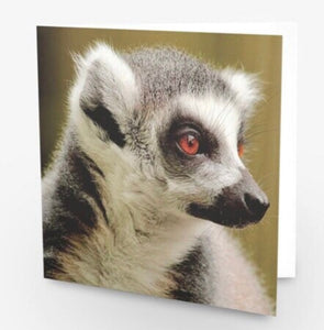 Playful Lemur Blank any Occasion Greeting Card