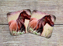 Load image into Gallery viewer, Charming Wild Horse Glossy Wooden Coaster Set
