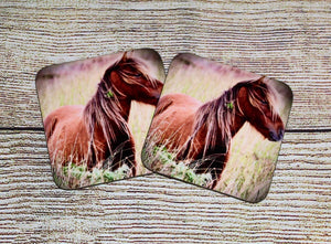 Charming Wild Horse Glossy Wooden Coaster Set