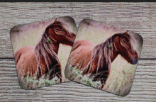 Load image into Gallery viewer, Charming Wild Horse Glossy Wooden Coaster Set
