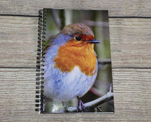 Load image into Gallery viewer, Robin Red Breast Lined Spiral A5 Notebook
