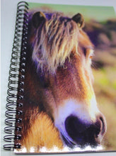 Load image into Gallery viewer, Horse Notebook Lined Glossy Photographed Wild Pony Notepad
