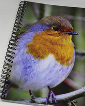 Load image into Gallery viewer, Robin Red Breast Lined Spiral A5 Notebook
