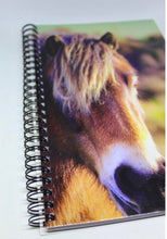 Load image into Gallery viewer, Horse Notebook Lined Glossy Photographed Wild Pony Notepad
