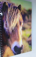 Load image into Gallery viewer, Horse Notebook Lined Glossy Photographed Wild Pony Notepad
