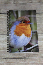 Load image into Gallery viewer, Robin Red Breast Lined Spiral A5 Notebook
