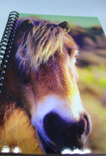 Load image into Gallery viewer, Horse Notebook Lined Glossy Photographed Wild Pony Notepad
