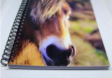 Load image into Gallery viewer, Horse Notebook Lined Glossy Photographed Wild Pony Notepad
