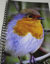 Load image into Gallery viewer, Robin Red Breast Lined Spiral A5 Notebook
