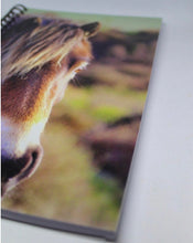 Load image into Gallery viewer, Horse Notebook Lined Glossy Photographed Wild Pony Notepad
