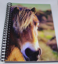 Load image into Gallery viewer, Horse Notebook Lined Glossy Photographed Wild Pony Notepad
