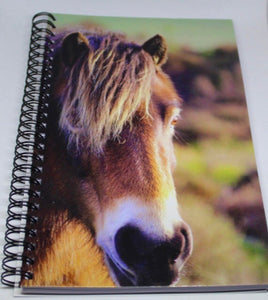 Horse Notebook Lined Glossy Photographed Wild Pony Notepad