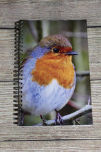 Load image into Gallery viewer, Robin Red Breast Lined Spiral A5 Notebook
